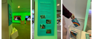 three pictures of the exhibition